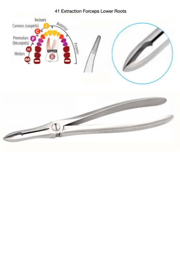 Dental Forceps-Lower Roots - Image 6