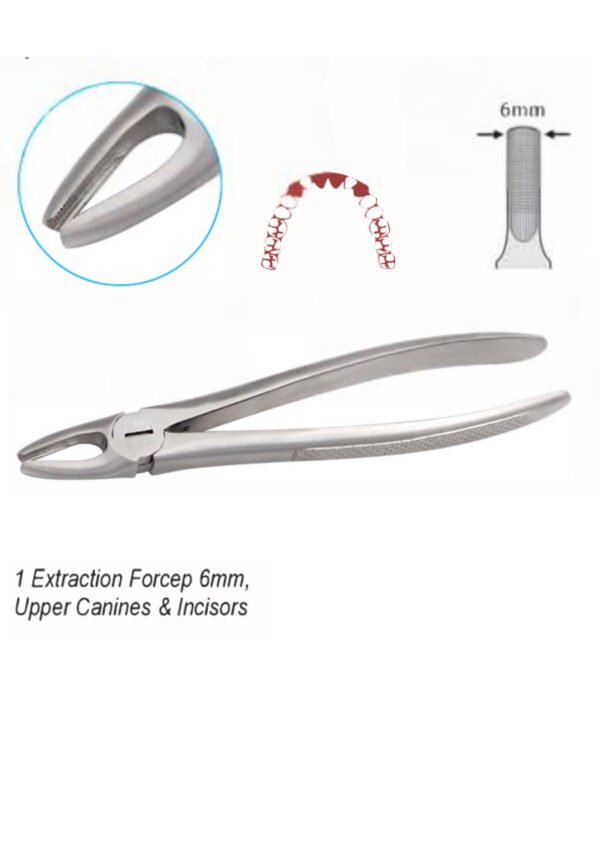 Dental Forceps-Upper Canines & Incisors - Image 3