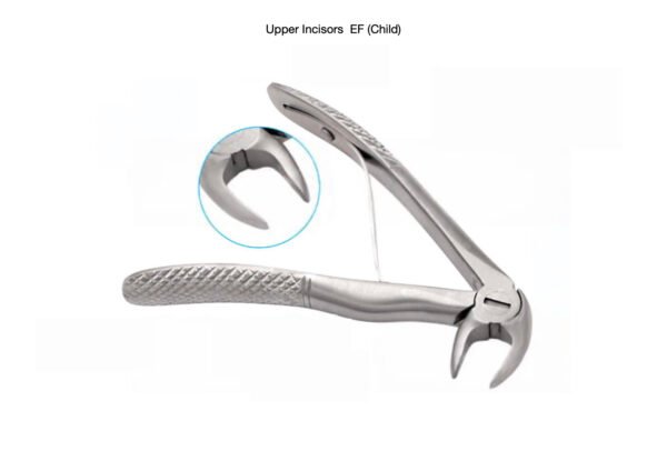 Dental Forceps-Upper Incisors (Child)